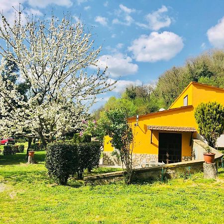 فيلا Agriturismo Pianezze Grotte di Castro المظهر الخارجي الصورة