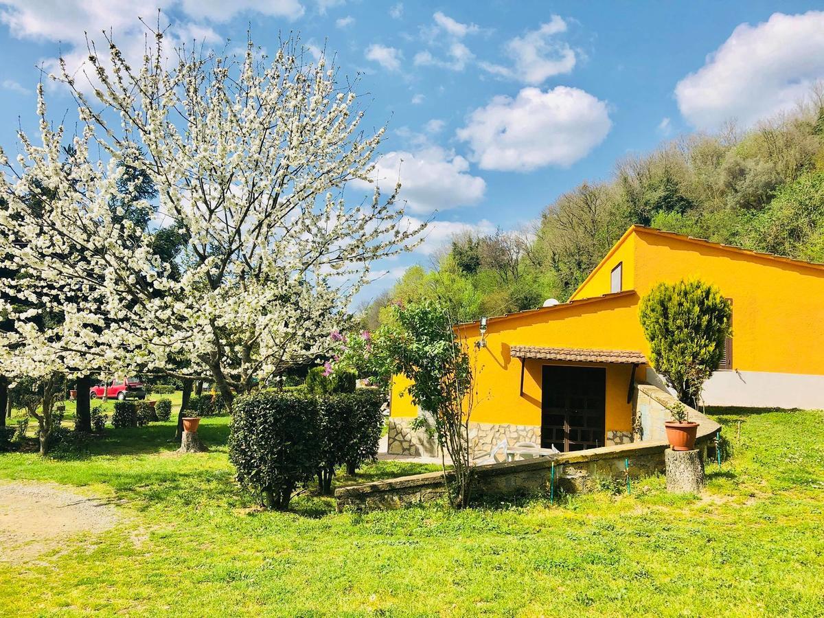 فيلا Agriturismo Pianezze Grotte di Castro المظهر الخارجي الصورة